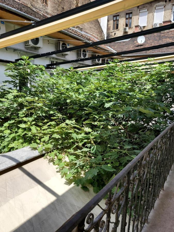 Klauzal19 Rooms Budapest Eksteriør billede